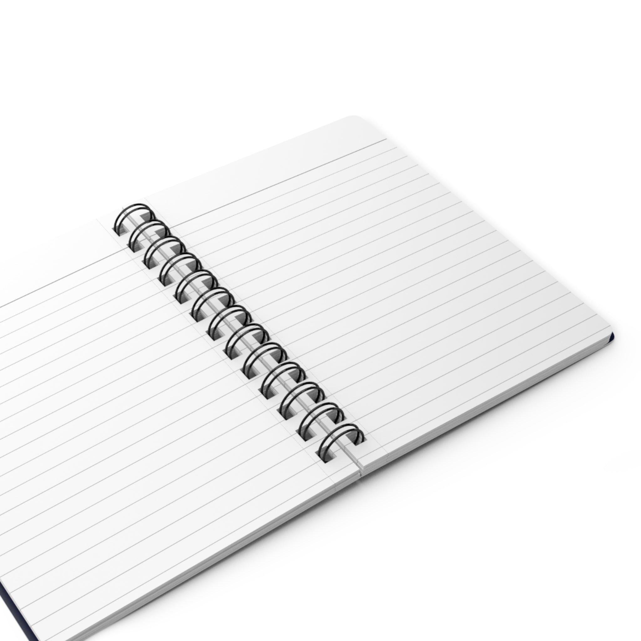 A Detailed Record of Why We Don't Speak - Journal